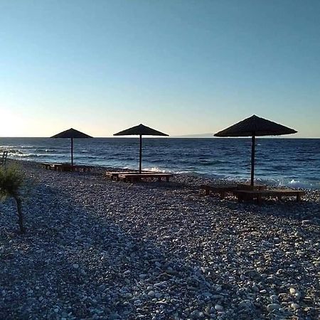 Despoina SEASIDE APARTMENT AGIOS KONSTANTINOS SAMOS Agios Konstantinos (Samos) Exterior foto
